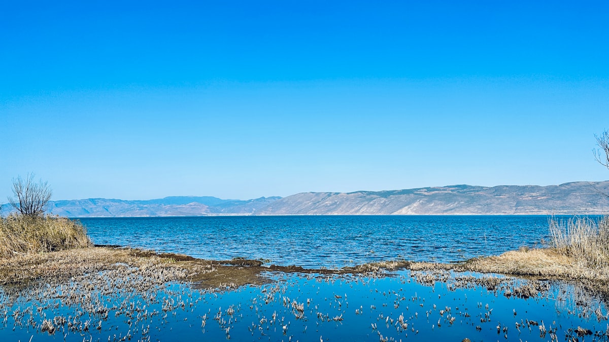 Reed-lined shore of Erhai Lake with mountains across the water, Dali