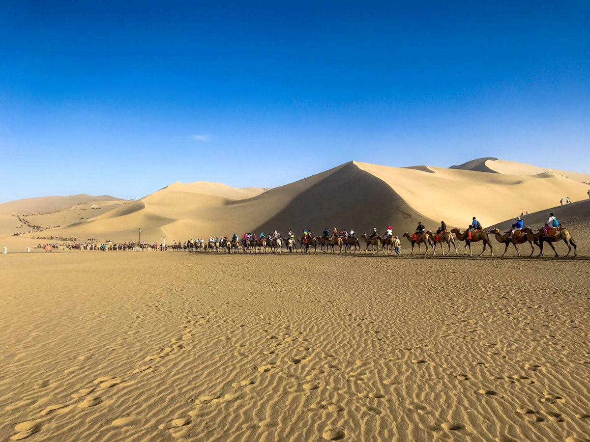 Camel caravans crossing the Mingsha sand dunes near Dunhuang under a blue sky