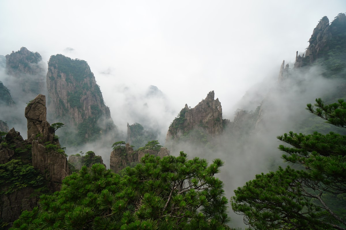 Mist drifting between granite pinnacles and pines on Huangshan