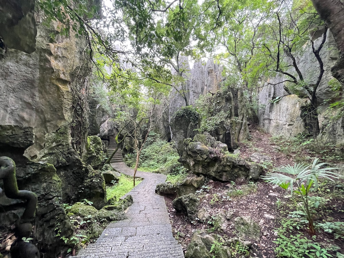 Stone footpath winding among mossy karst rocks in Kunming's Stone Forest
