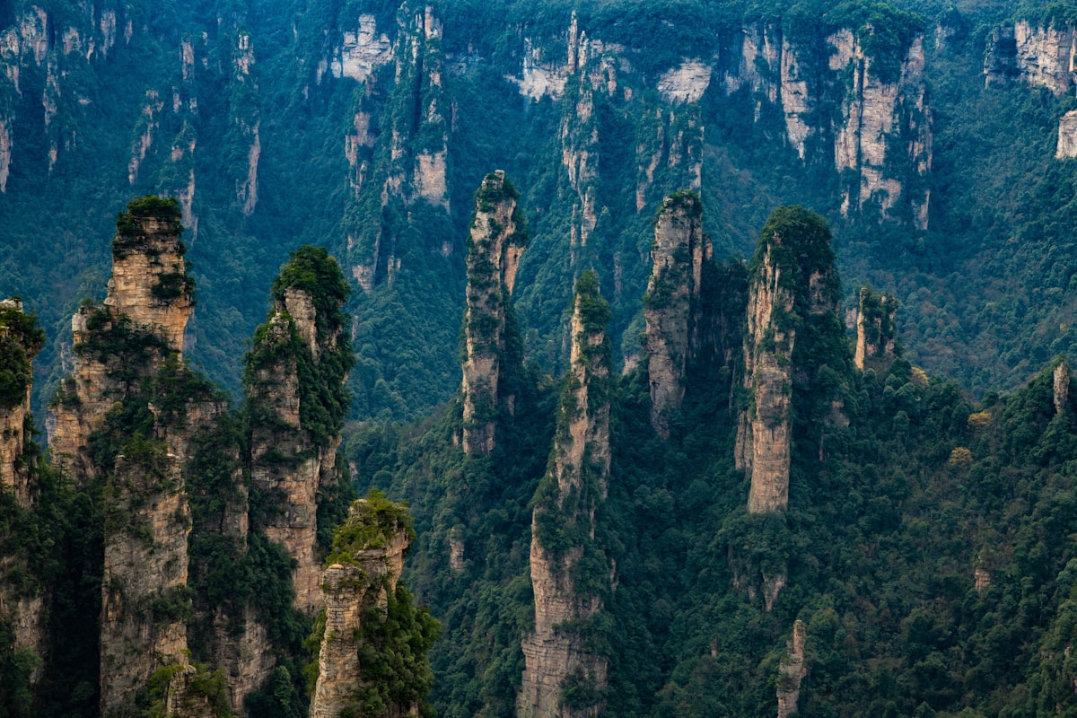 Forest of sandstone pillars in Zhangjiajie National Forest Park