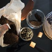 Loose biluochun tea leaves in an open bag beside sample jars