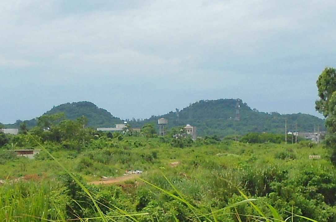 Forest-covered volcanic cones rising over lava fields at the Leiqiong geopark.