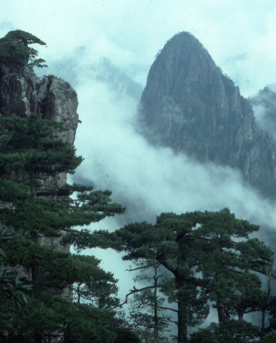 A granite peak of Huangshan rising through the cloud sea