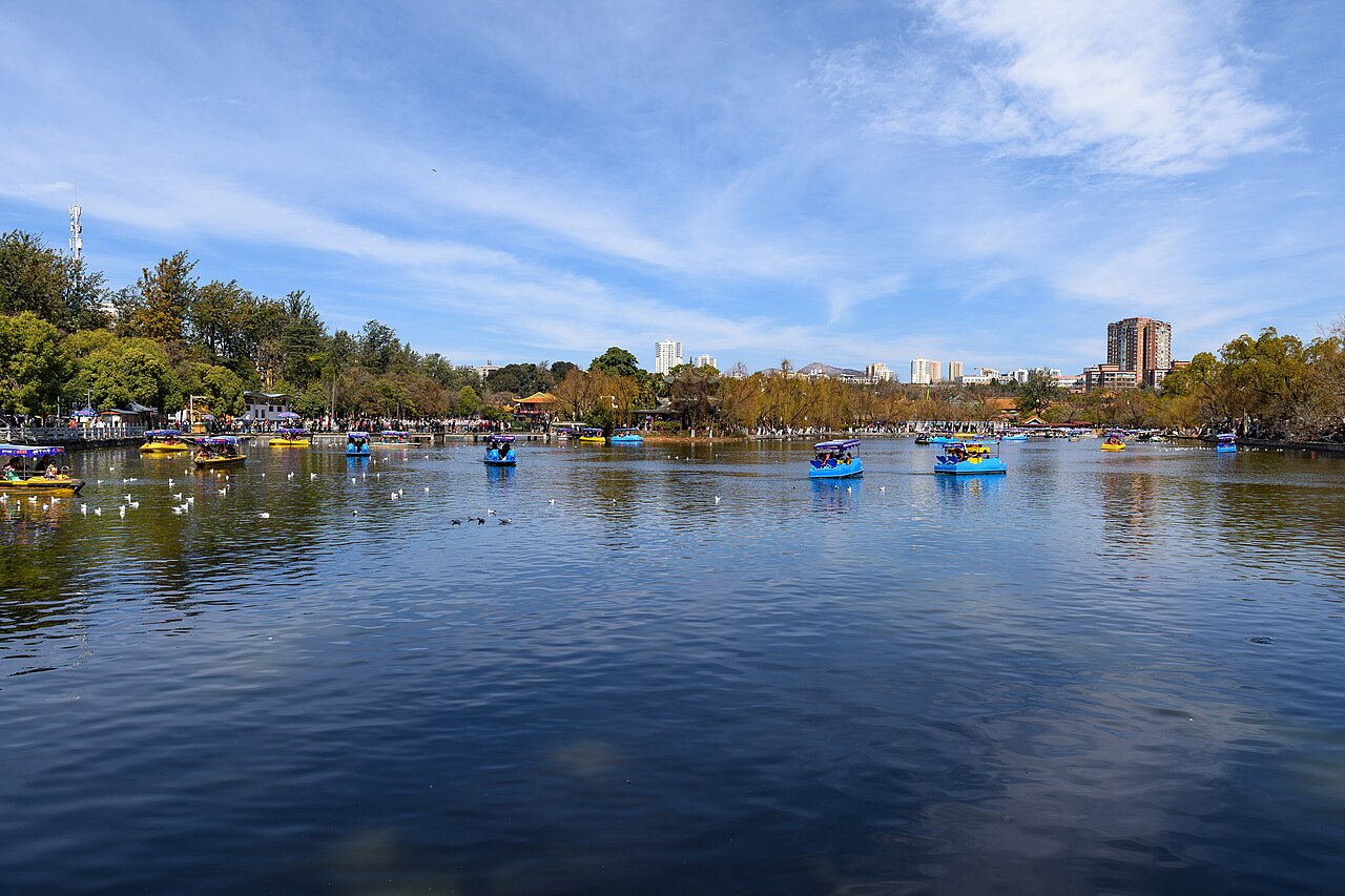 Boats on Green Lake with trees and city buildings behind, Kunming