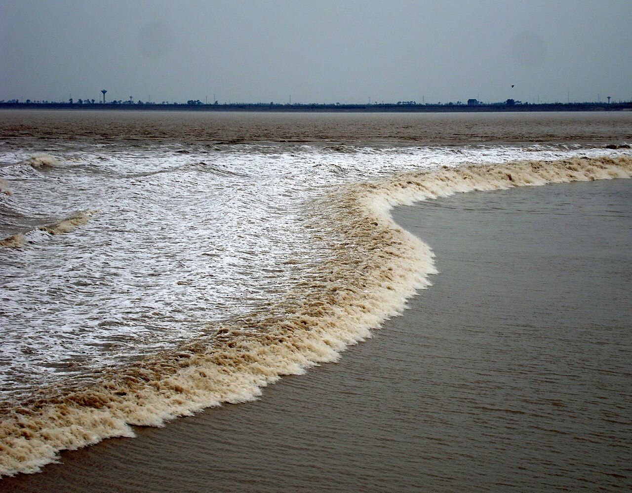 The Qiantang River tidal bore advancing as a single foaming line across the river