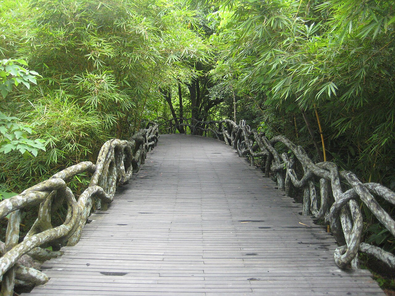 A canopy walkway through the tropical Yanoda Rainforest near Baoting, Hainan
