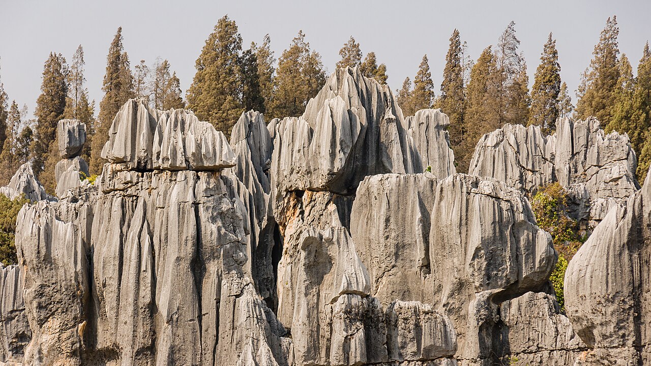 The karst pillars of the Stone Forest (Shilin), Yunnan
