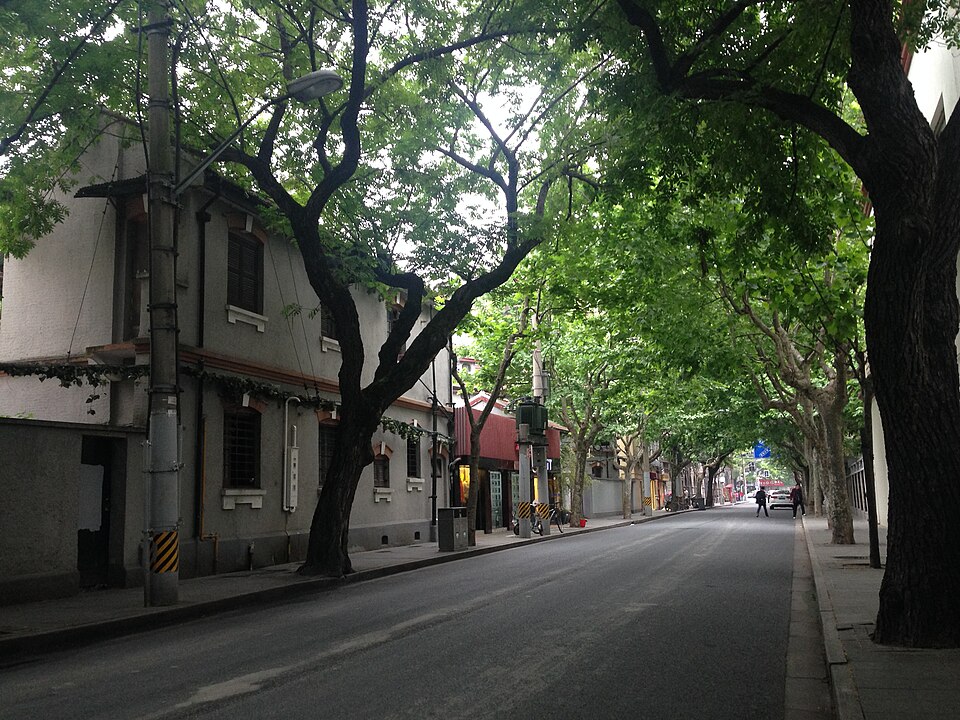 Plane-tree-lined Wukang Road in the former French Concession, Shanghai