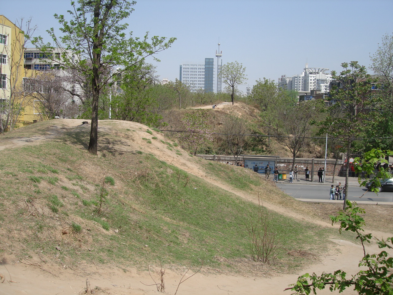 The grass-covered rammed-earth Shang dynasty city wall rising beside a modern street.