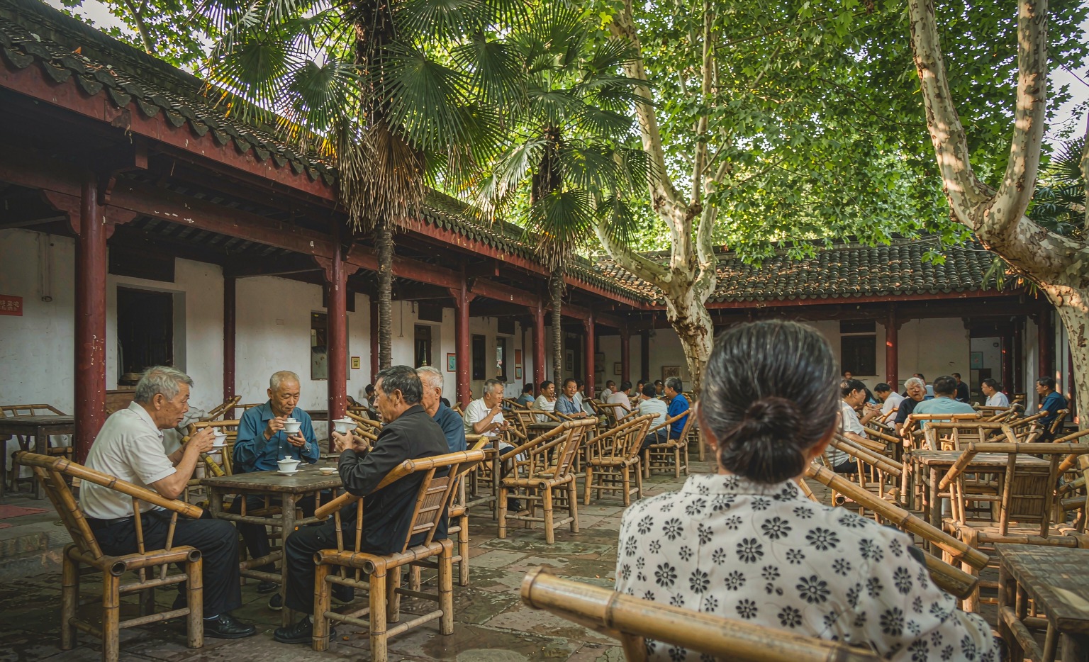 Teahouse in Chengdu's People's Park, crowded with bamboo chairs