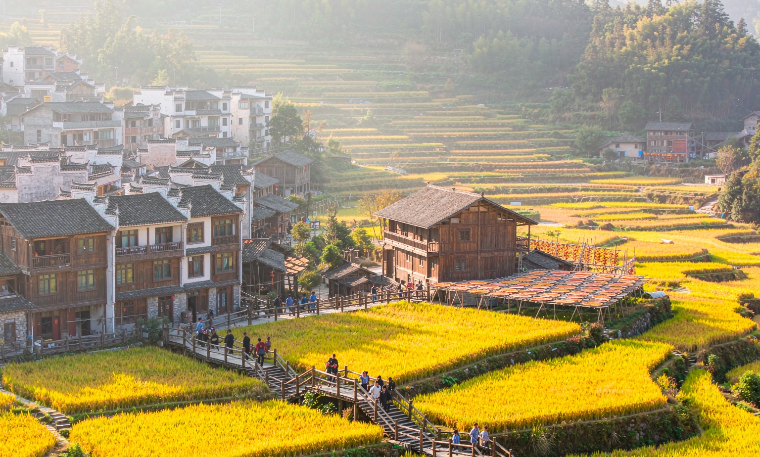 Terraced golden rice fields and a village in rural China during the autumn harvest