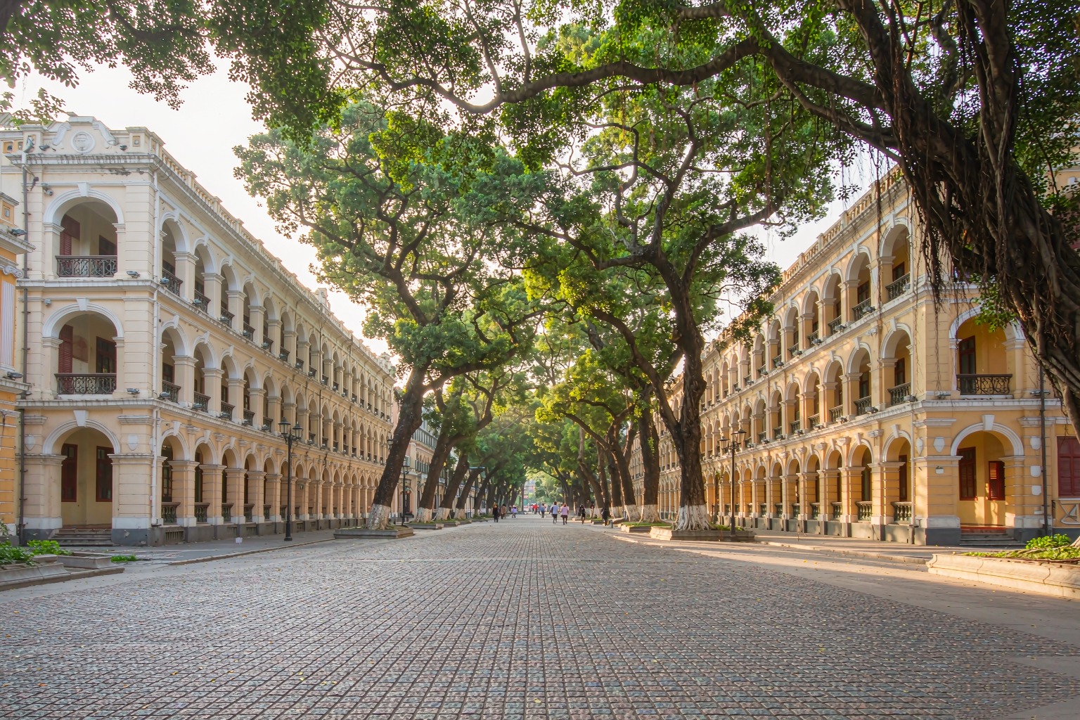 Restored 19th-century European buildings under big banyans on Shamian Island, Guangzhou