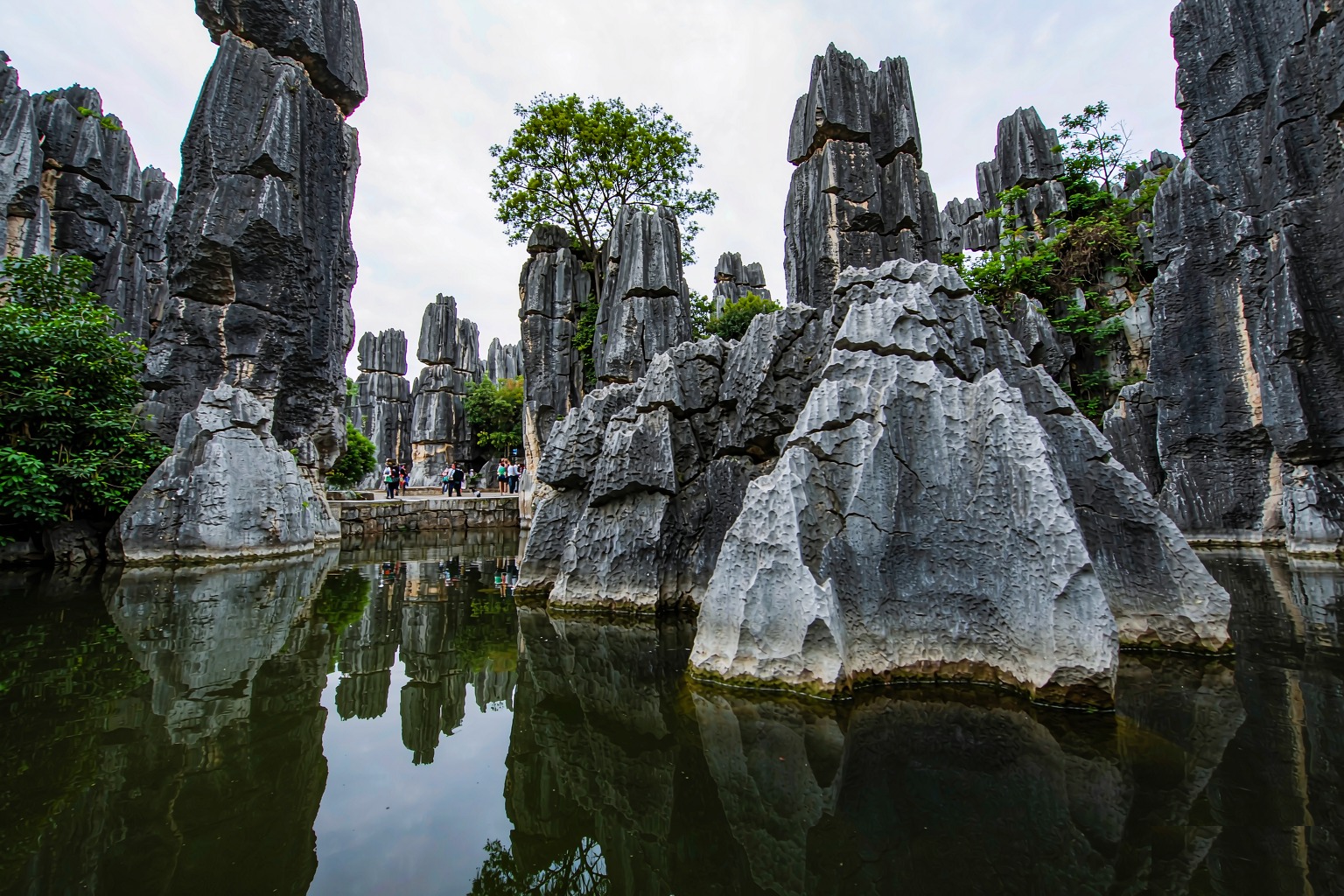 Tall grey limestone karst pinnacles rising from a still reflecting pond in the Stone Forest (Shilin) near Kunming