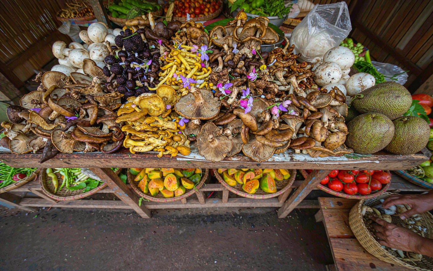Piles of wild mushrooms and tropical fruit at a wet-market stall