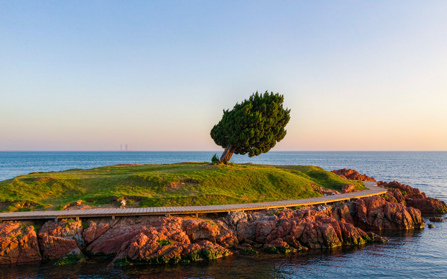 Grassy islet with a lone tree above rust-red coastal rocks