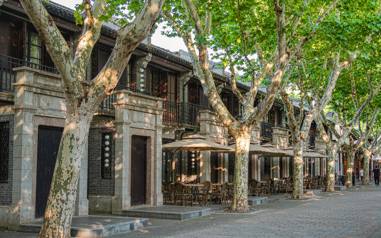 Grey-brick shikumen lanes with cafe terraces under plane trees