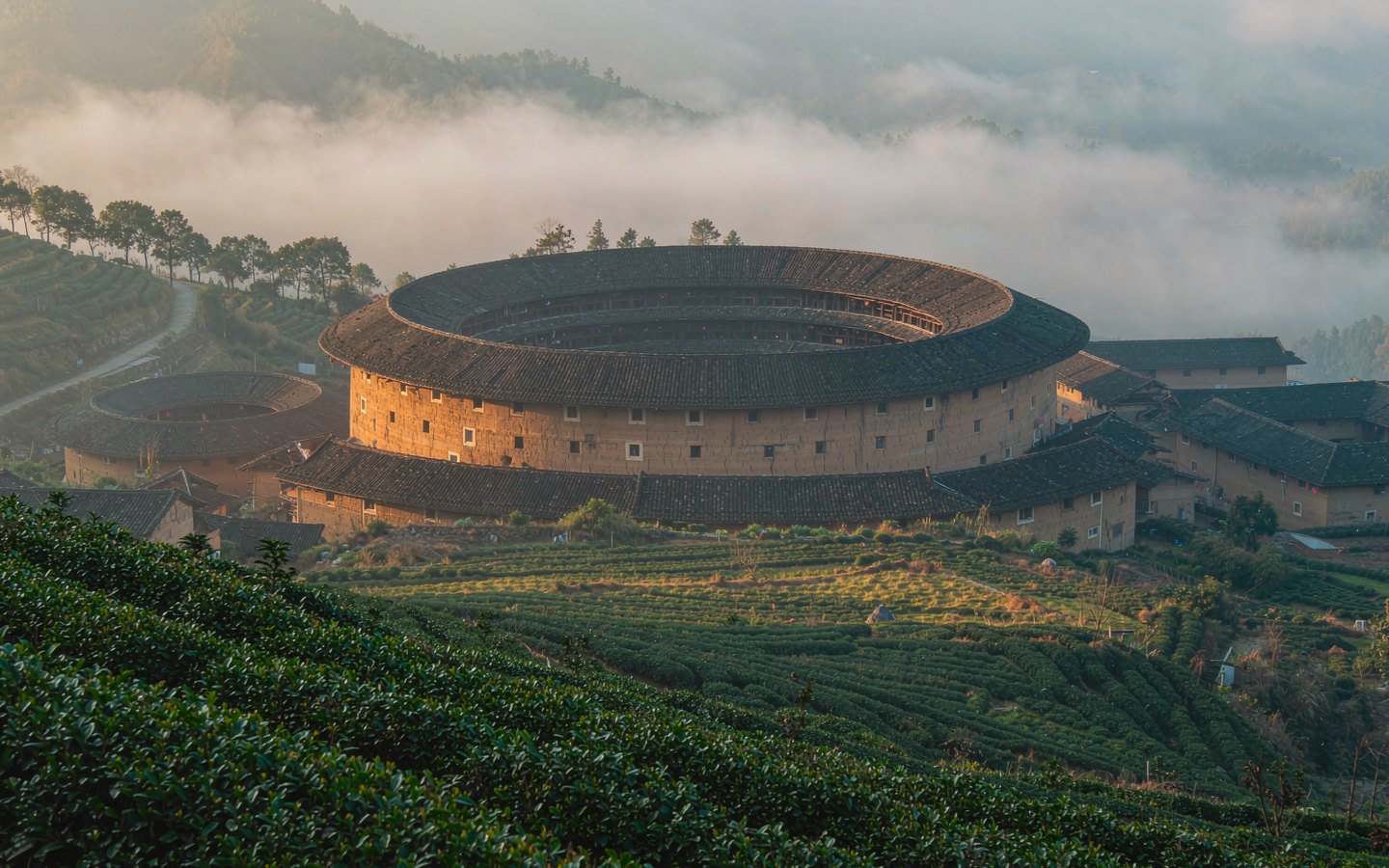 Round earthen tulou buildings clustered among green tea hills