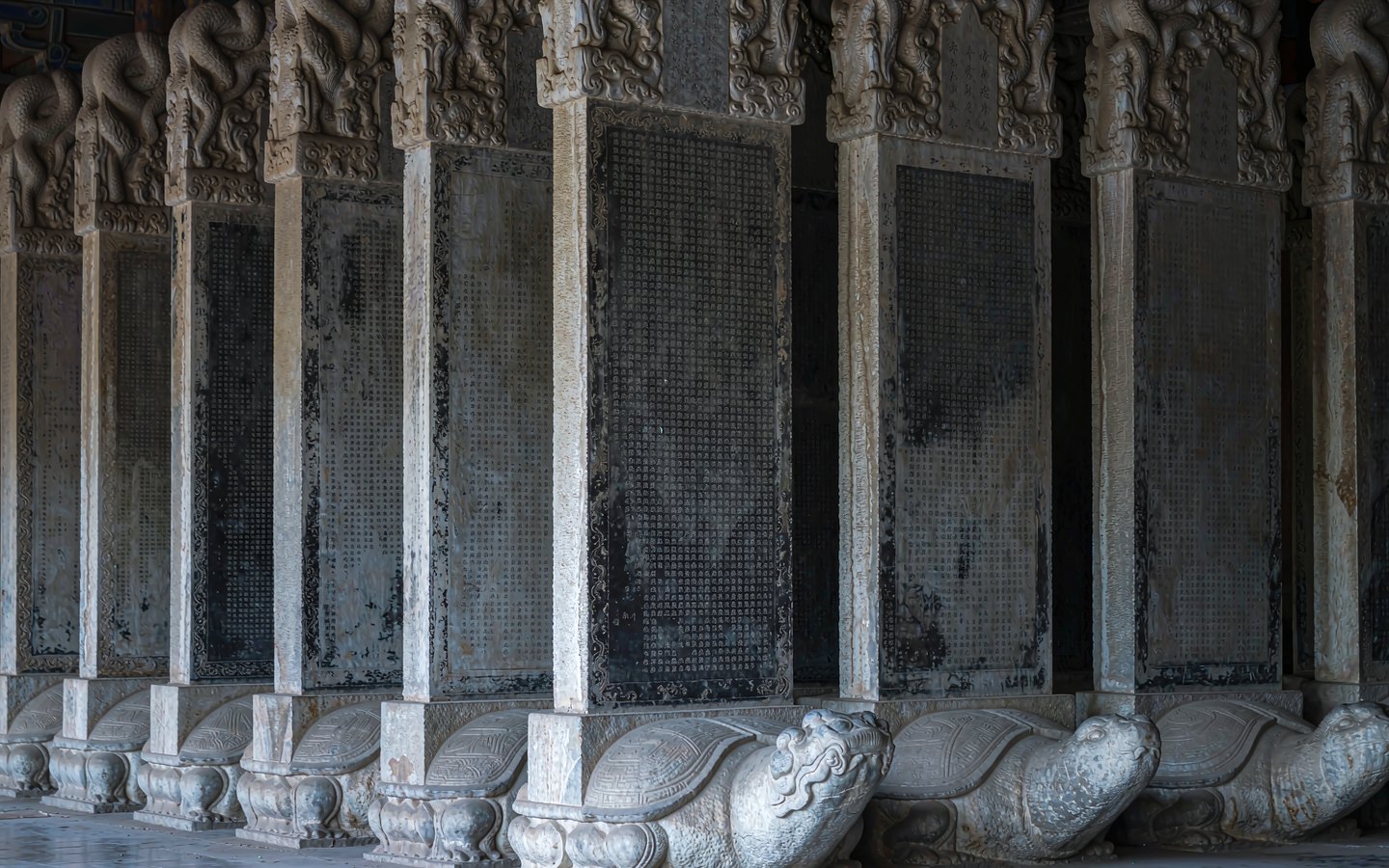 Ancient carved stone steles standing in rows in a quiet gallery