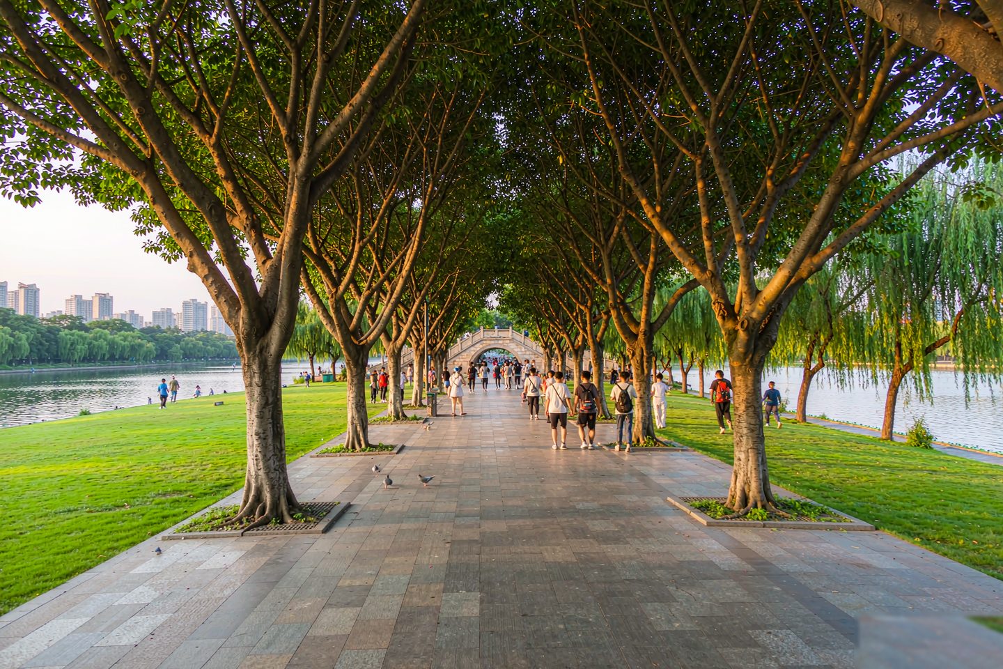 Stone path and lawns on Orange Isle in the Xiang River