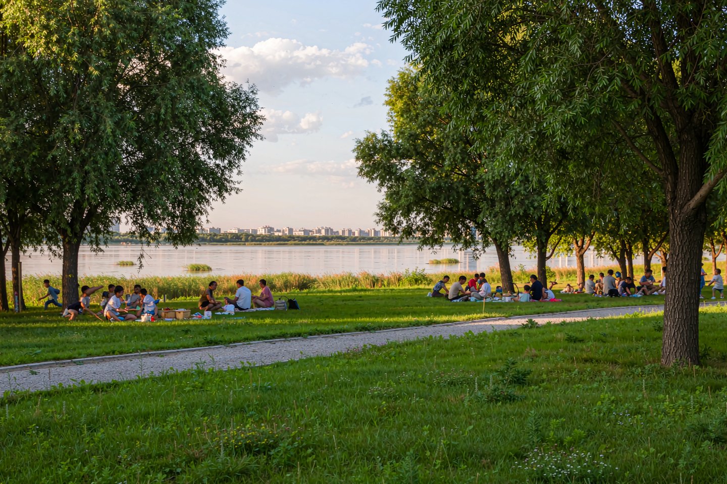 Families picnicking in the shade of willows on Sun Island, the Songhua River beyond